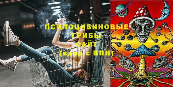 эйфоретик Инта