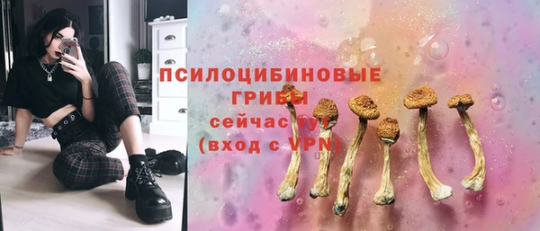 spice Абаза