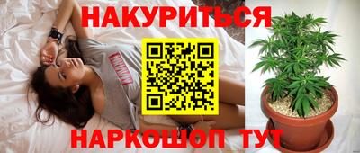 шишки Малгобек