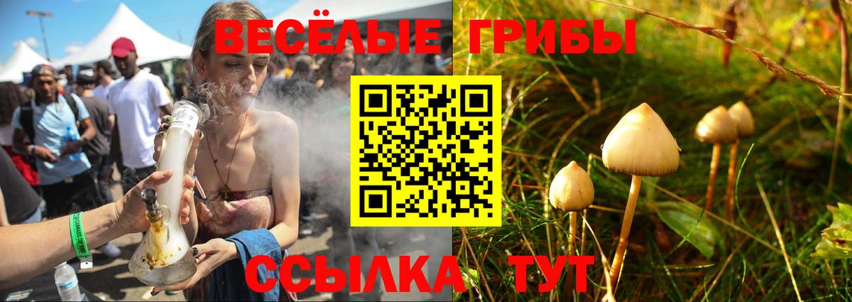 Псилоцибиновые грибы MAGIC MUSHROOMS Кизляр