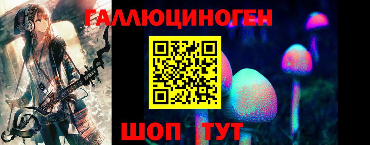 магазин    Галлюциногенные грибы прущие грибы  Вход с VPN  Кизляр 